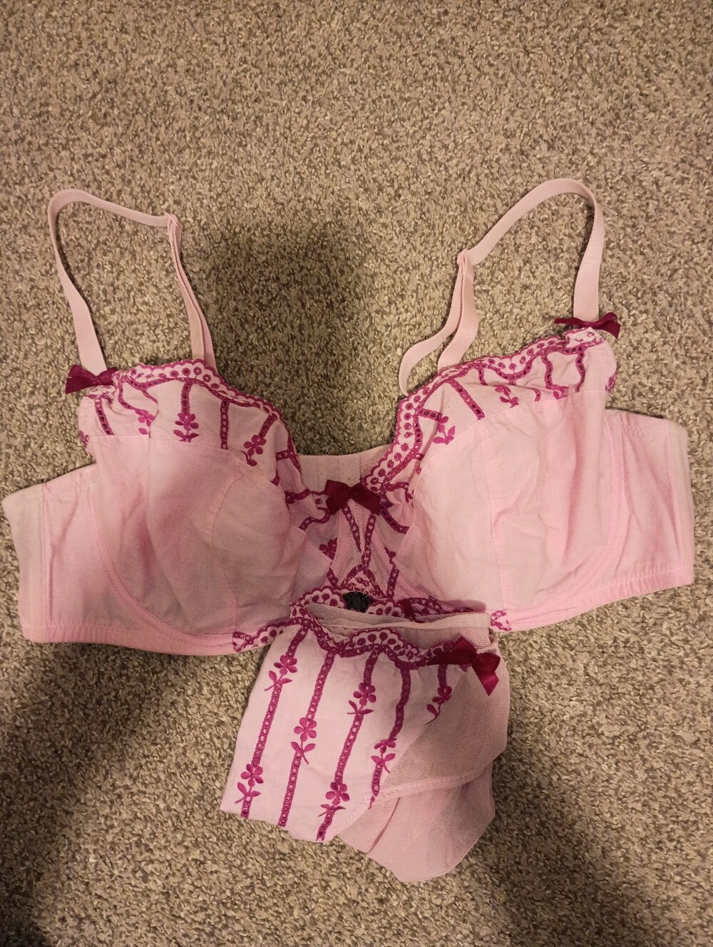 Adore Me 🩷 Pink Embroidered Balconette Bra and Brief Set
